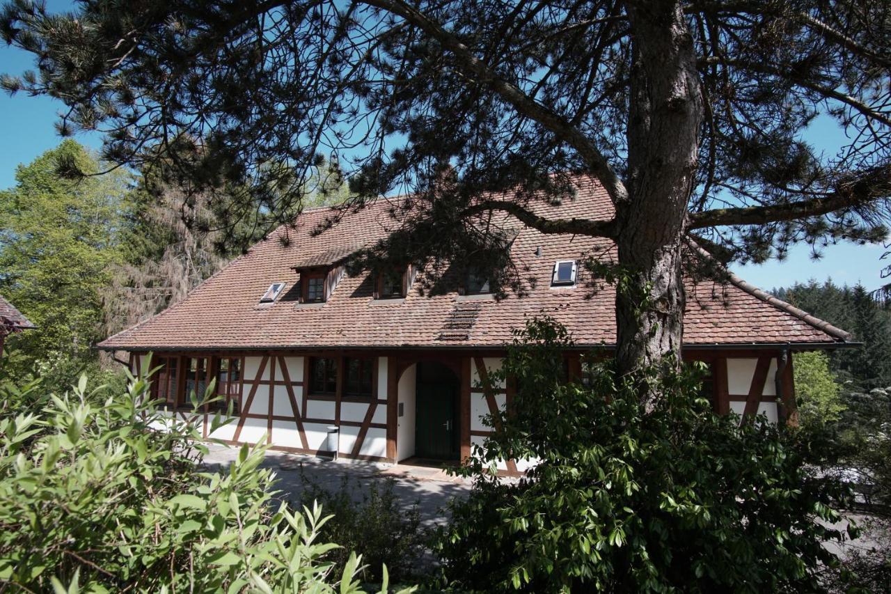 Hotel & Tagungszentrum Schloss Hohenfels Hohenfels  Exterior foto
